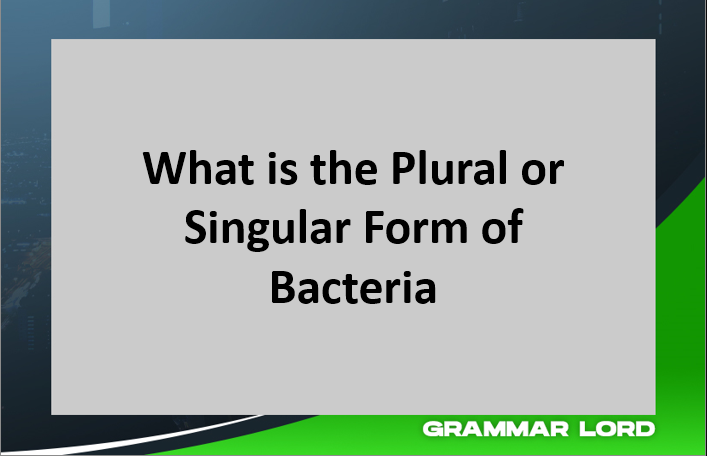 What the Plural or Singular Form of Bacteria