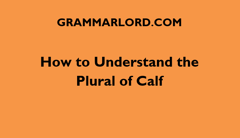 how to understand the plural of calf