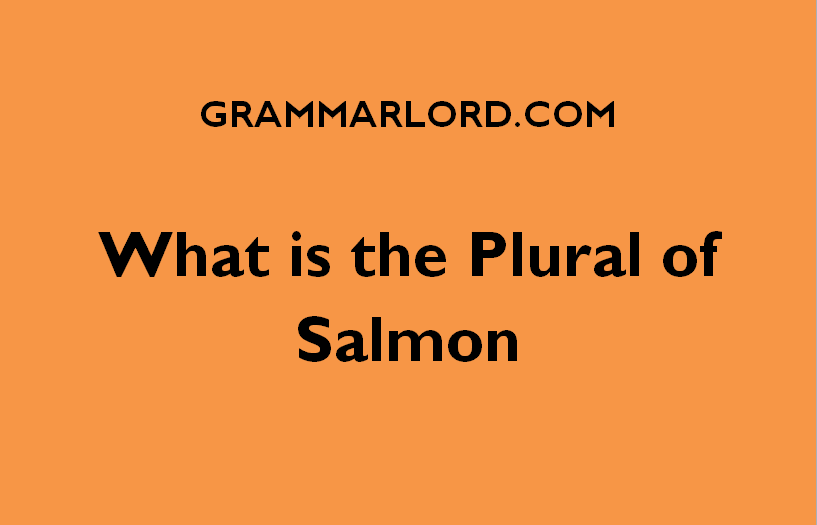 what is the plural of salmon