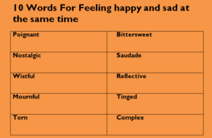 words for feeling happy and sad at the same time