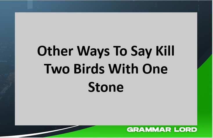 other ways to say kill two birds with one stone