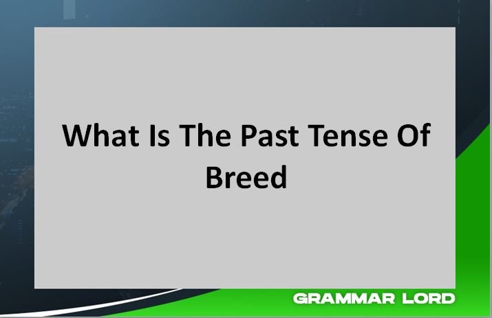 What Is The Past Tense Of Breed