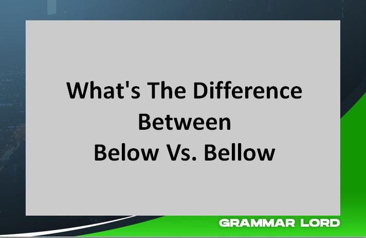 Below Vs. Bellow: What's The Difference