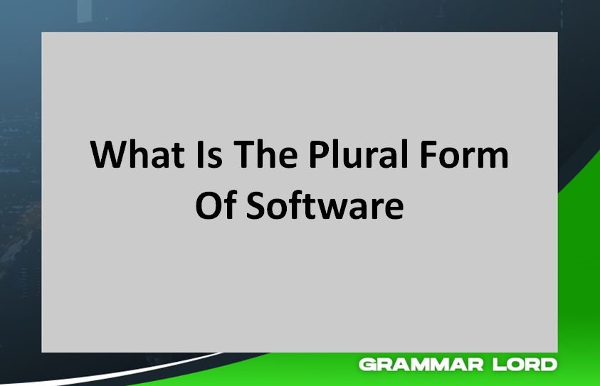 What Is The Plural Form Of Software